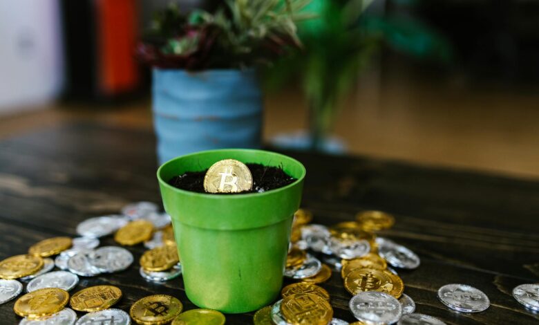 Top 5 Gründe, warum Bitcoin weiterhin boomt