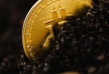 Krypto News 2026: Trends, Entwicklungen und Marktausblick