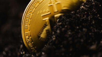 Krypto News 2026: Trends, Entwicklungen und Marktausblick