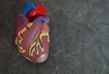 Herzinfarkt vorbeugen: Strategien, die wirklich zählen