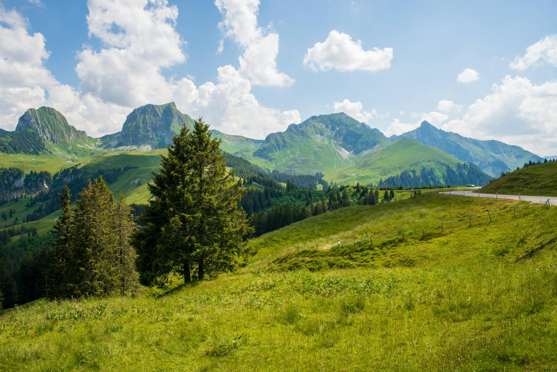 Breathtaking view of lush green Swiss Alps in Rüeggisberg under a bright summer sky.