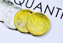 Altcoins: Definition, Altcoin Season, Chancen und Risiken