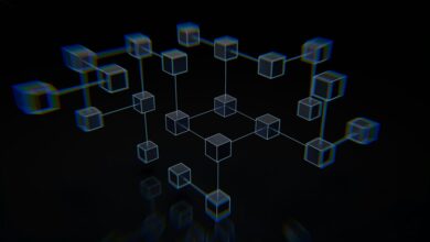 Polkadot Krypto (DOT): Kurs, Protokoll und Investment-Guide 2026