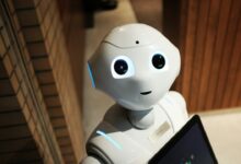 Roboter im Alltag und in der Industrie: Wie humanoide Roboter unsere Welt verändern