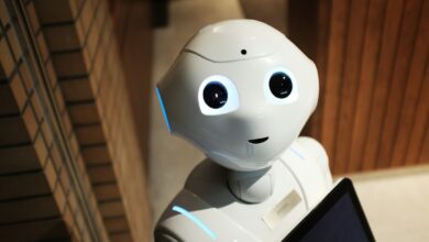 Roboter im Alltag und in der Industrie: Wie humanoide Roboter unsere Welt verändern